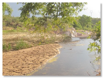 Pantan-Creek-at-the-dam