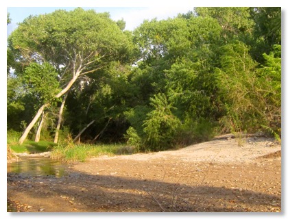 Pantano-Creek-Upstream